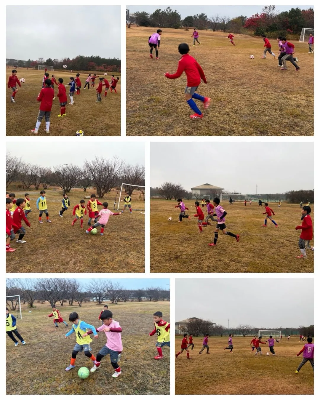 【 TIGREYジュニア合同合宿（愛知・岐阜） 】