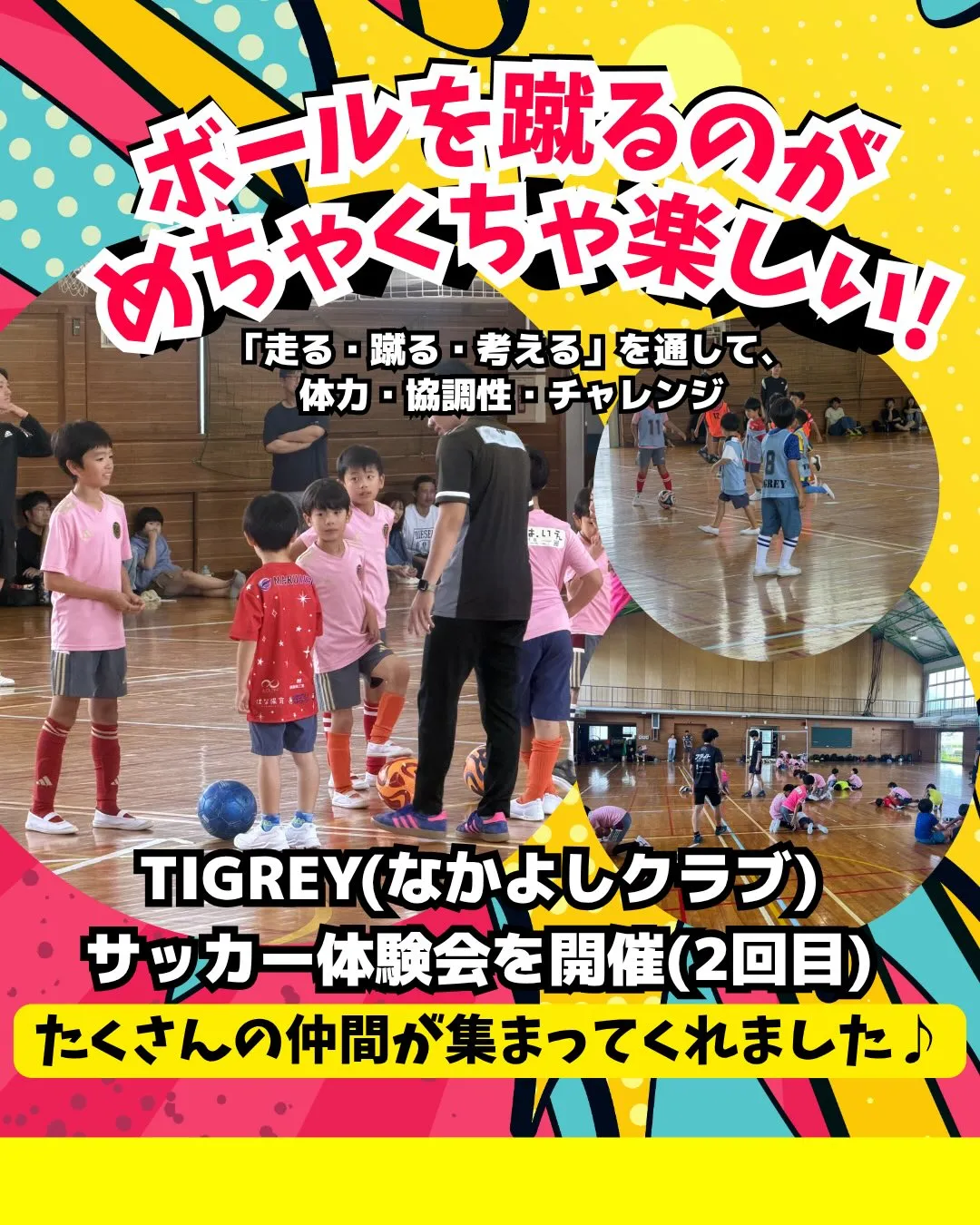 TIGREY 体験会　2回目開催(6/28)