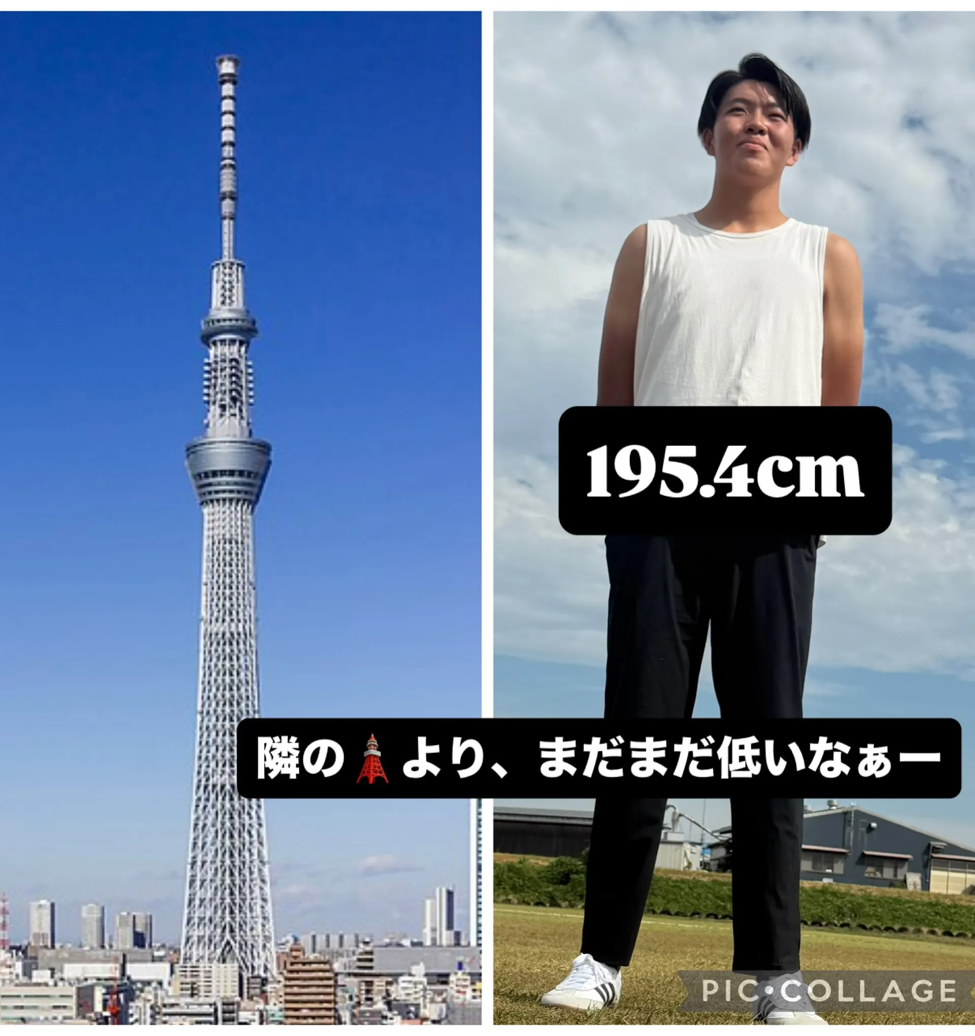 TIGREYを卒業して4ヶ月!